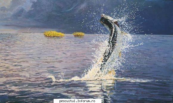 Fishing as an art - ok20771.jpg